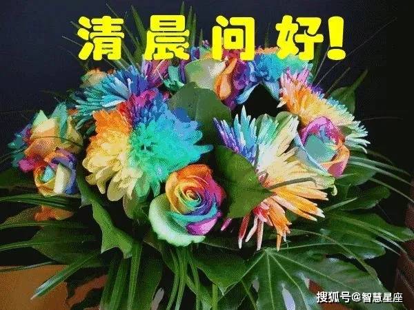 十八姑娘一朵花五颜六色景如画是什么生肖仔细释义、解释与落实、统计解答解释落实
