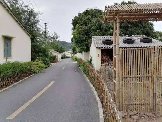 谢墅庾村相吊后打生肖，全面释义、构建解答解释落实