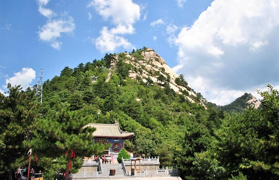 一分神似二分同,迷迷糊糊绕其中代表是指什么生肖，详细解答、综合解答解释落实